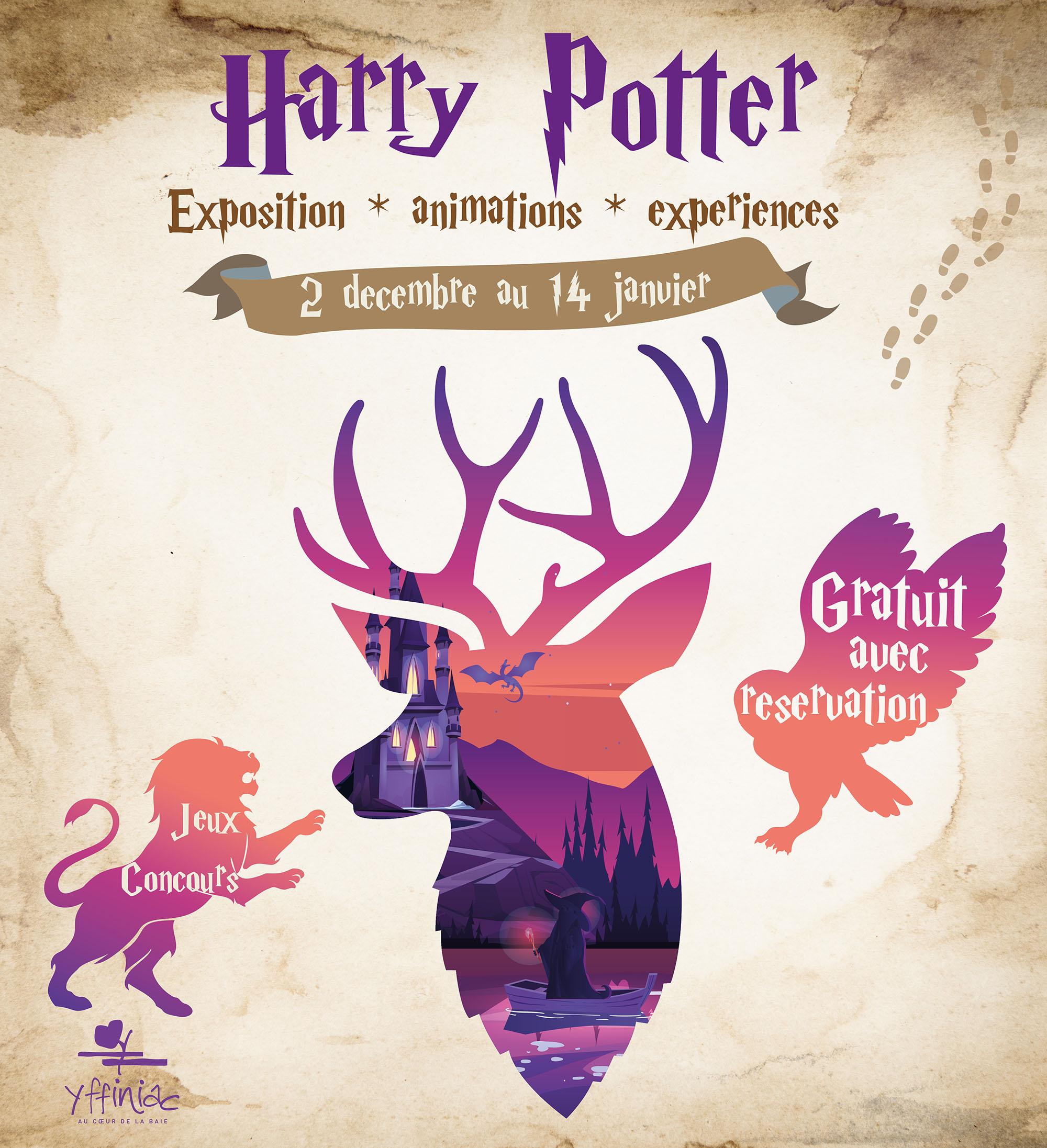 L'anniversaire Harry Potter : la préparation (et c'est long !) - Bienvenue  en enfer (ou le monde de la parentalité)